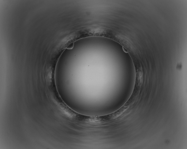 X0000097770668200803071319