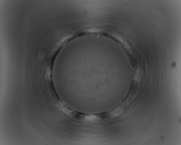 X0000097770669200803071319