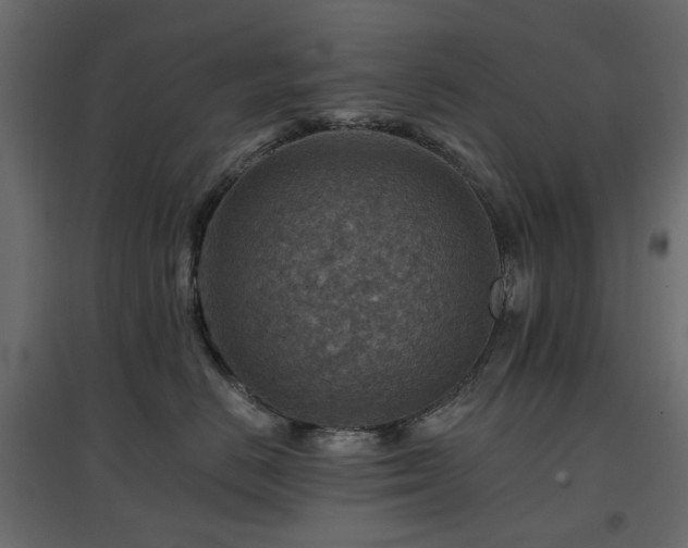 X0000097770670200803071319