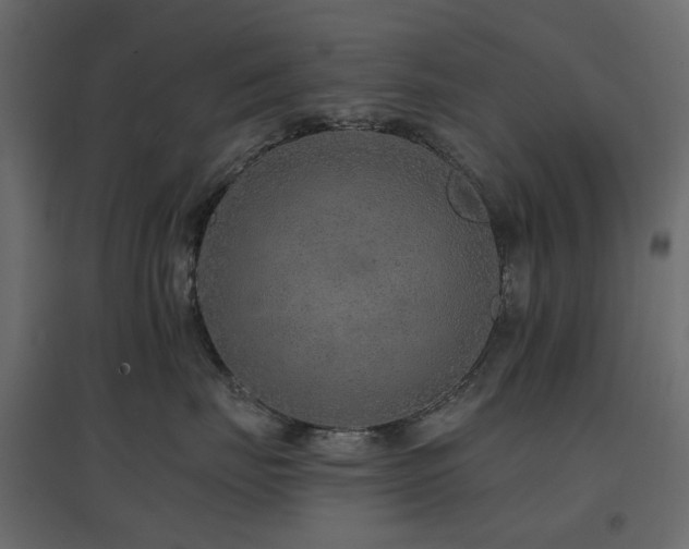 X0000097770671200803071319