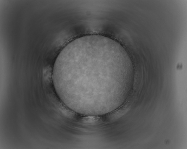 X0000097770672200803071319