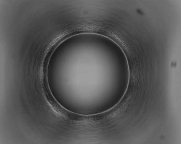 X0000097770674200803071318