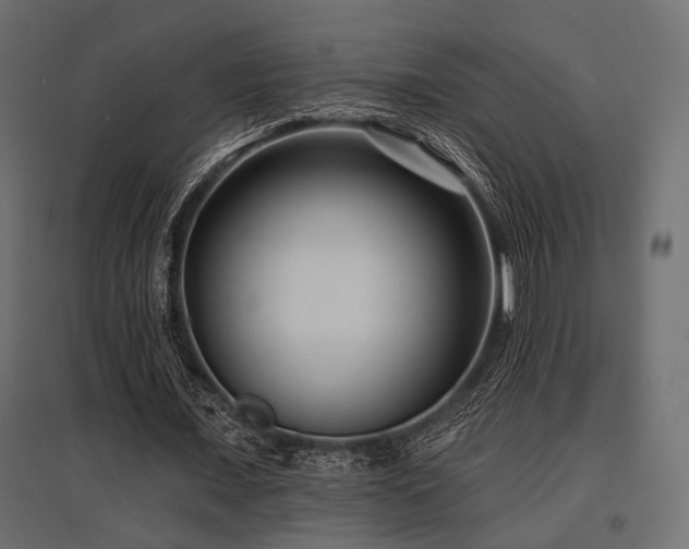 X0000097770675200803071318