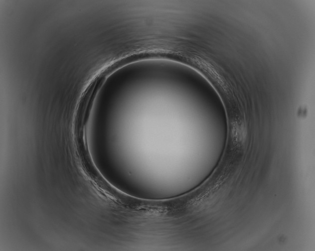 X0000097770676200803071318