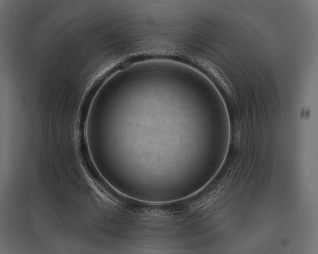 X0000097770677200803071318