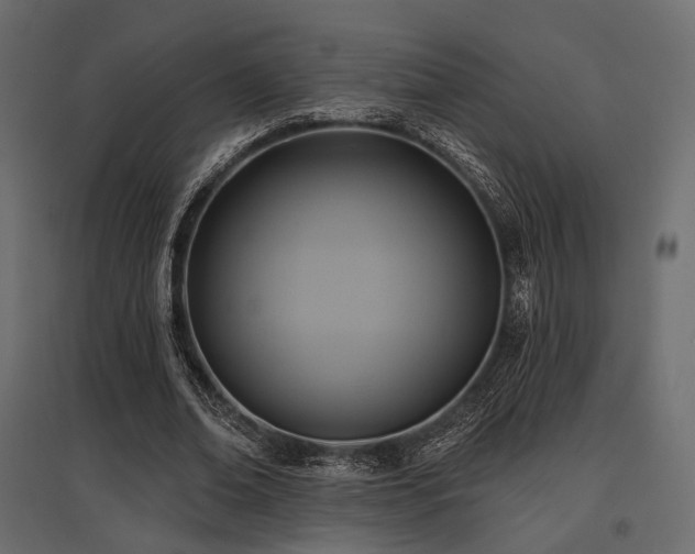 X0000097770678200803071318