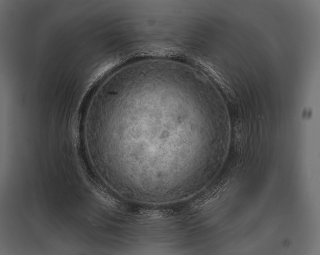 X0000097770679200803071318