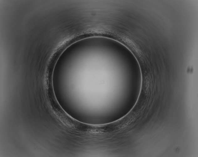 X0000097770680200803071318