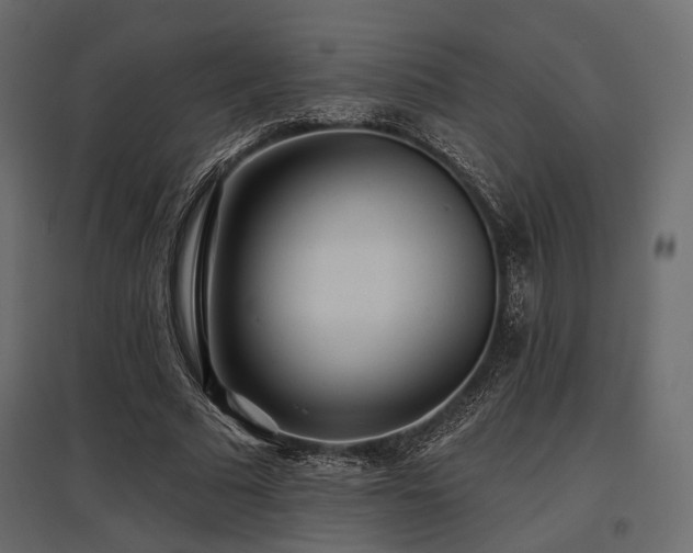 X0000097770681200803071318