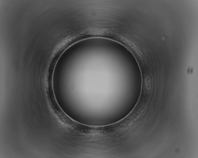 X0000097770682200803071318