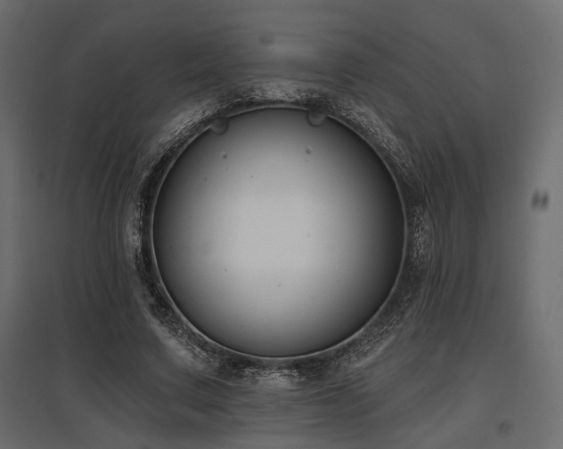 X0000097770683200803071318