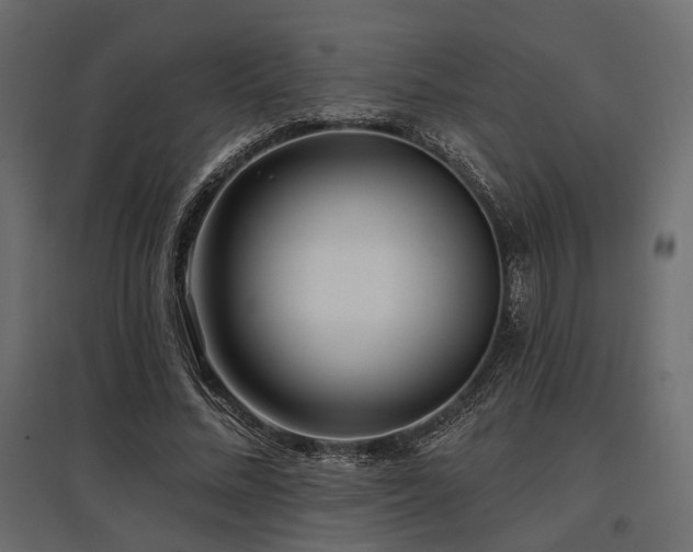 X0000097770684200803071318