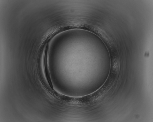 X0000097770685200803071318