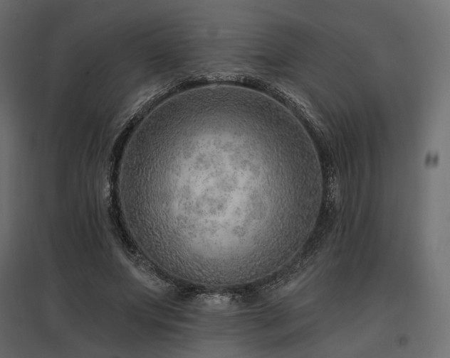 X0000097770687200803071318