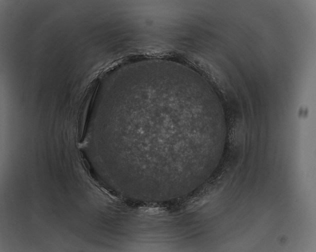 X0000097770689200803071318