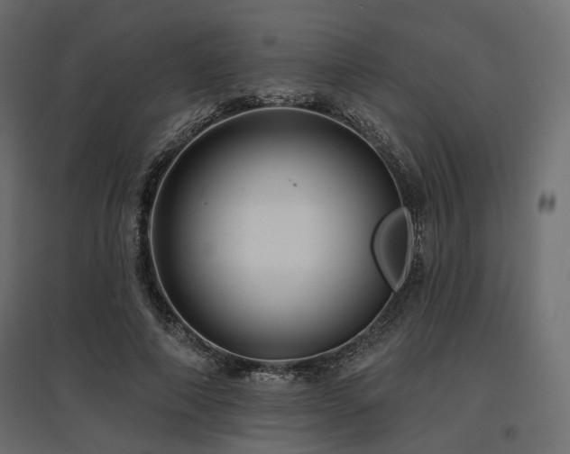 X0000097770690200803071318