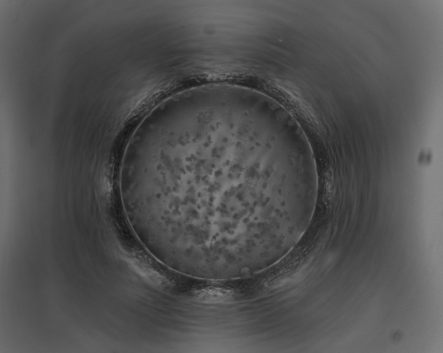 X0000097770691200803071318