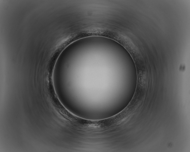 X0000097770692200803071318