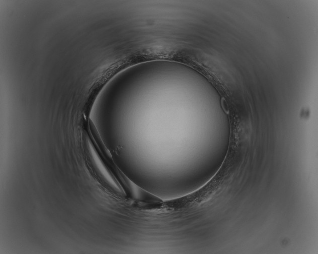 X0000097770693200803071318