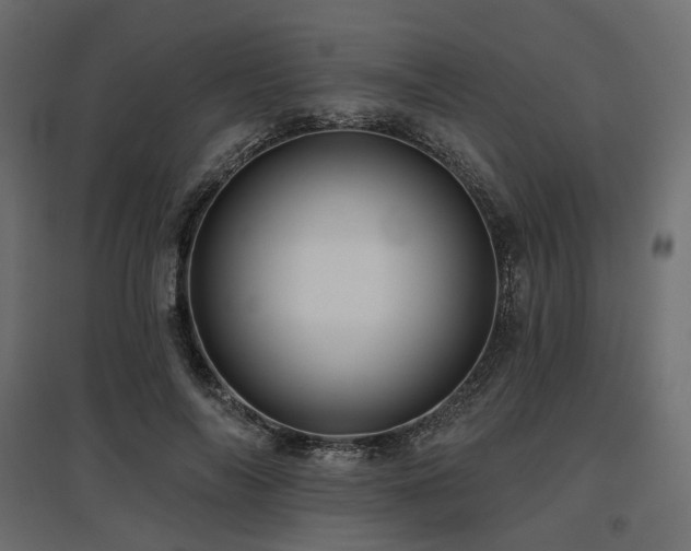 X0000097770694200803071318