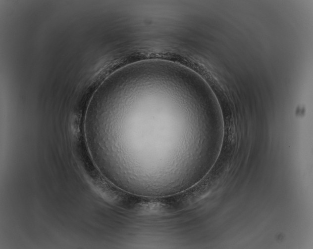 X0000097770695200803071318