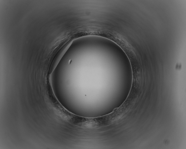 X0000097770696200803071318