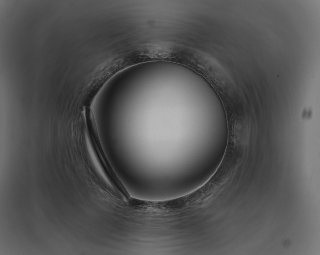 X0000097770697200803071318