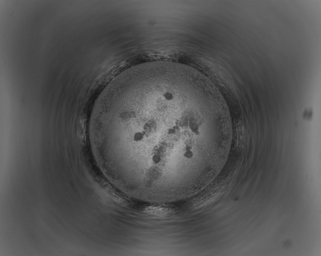X0000097770699200803071318