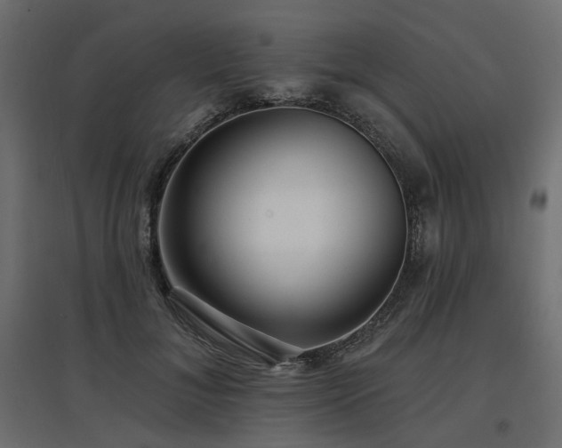 X0000097770700200803071317
