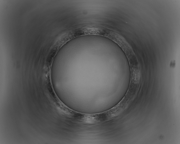 X0000097770701200803071317