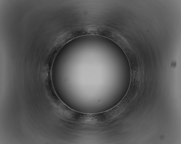 X0000097770702200803071317