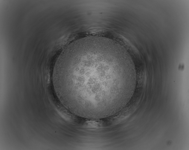 X0000097770703200803071317