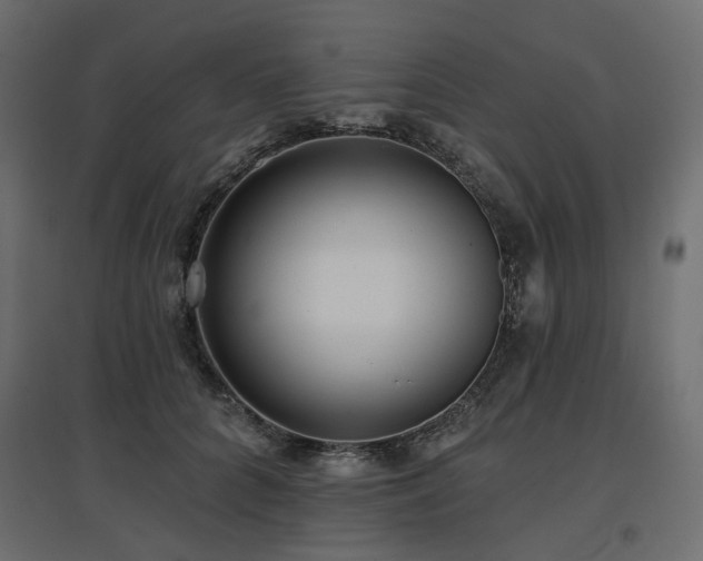X0000097770704200803071317