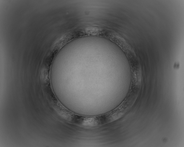 X0000097770705200803071317