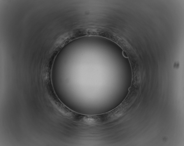X0000097770706200803071317