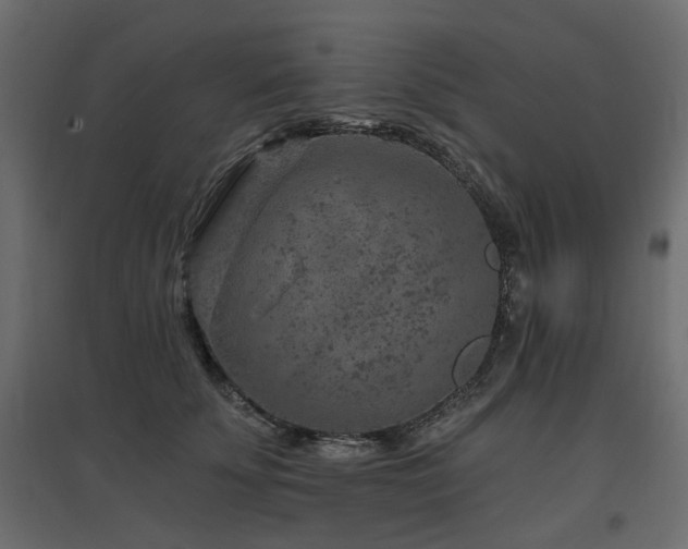 X0000097770707200803071317