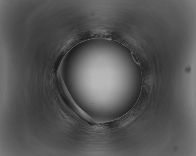 X0000097770708200803071317
