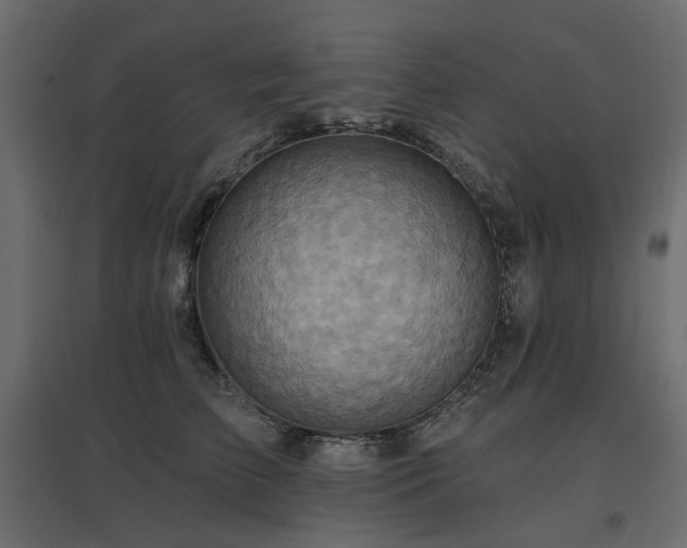 X0000097770709200803071317
