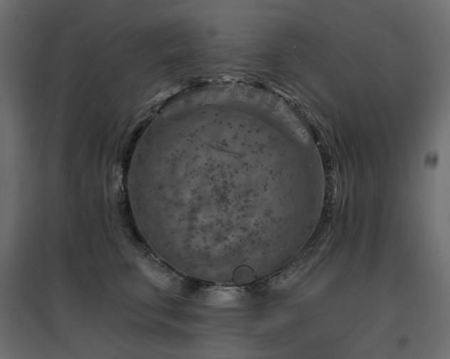 X0000097770711200803071317