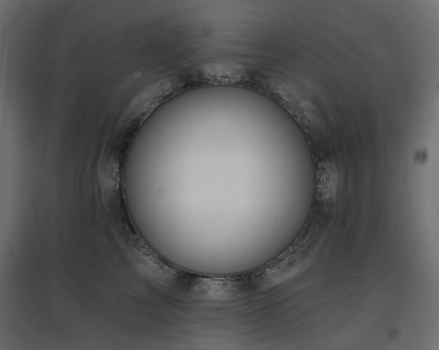 X0000097770713200803071317