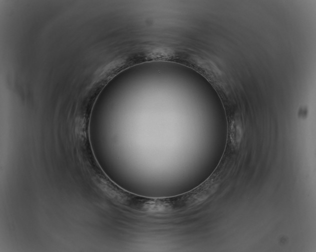 X0000097770714200803071317