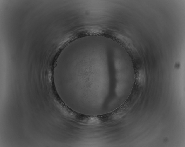 X0000097770715200803071317