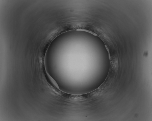 X0000097770716200803071317
