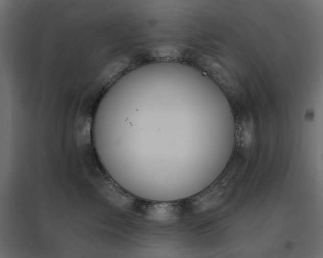 X0000097770717200803071317