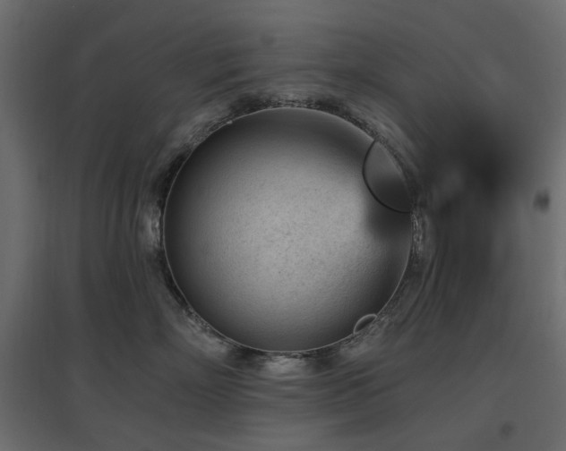 X0000097770718200803071317
