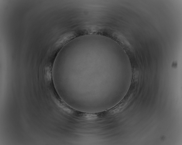 X0000097770719200803071317
