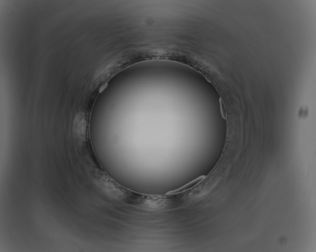 X0000097770720200803071317