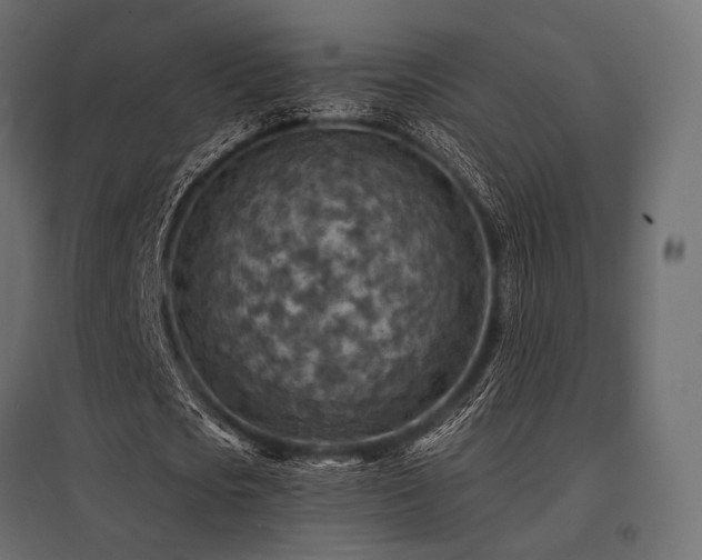 X0000097770721200803071317
