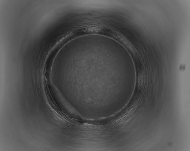 X0000097770722200803071317
