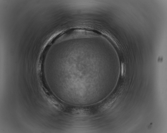 X0000097770723200803071317